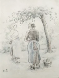 The Woman under the Apple Tree